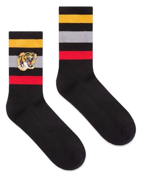 gucci socjs|gucci socks tiger black.